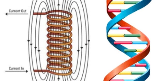 Luc Montagnier – DNA Information transfer via electromagnetic radiation